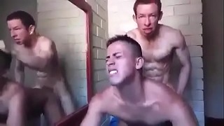 Pasivo Chibolo aguantador Latino