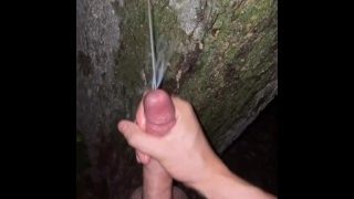 Jouir de la pisse et du sperme sur un arbre à l'extérieur