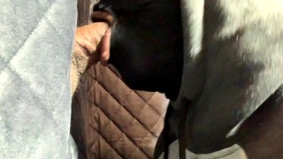 Straight Guy Pulls Up To The Gloryhole