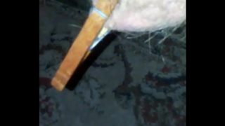 20170608 071809 Sissy Cuckold