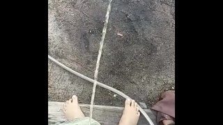 Afternoon Pissing