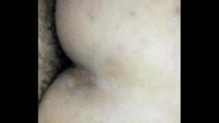 Anal Amateur Chileno