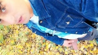 Autumn Peeing On Dry Leaves In A Park