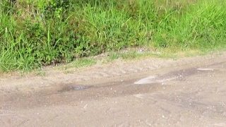 Barley Legal Teen Twink Vídeo de urina pela primeira vez na beira da estrada.