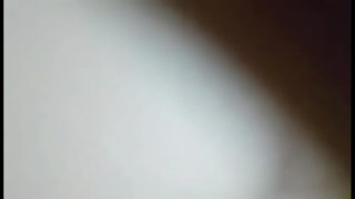 Bear Sucking BBC