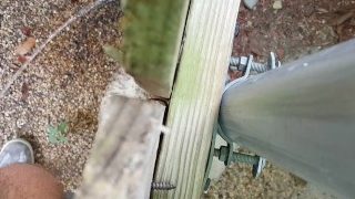Boy Pissing Outdoors