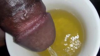 Drink The Piss From My Fat Cock