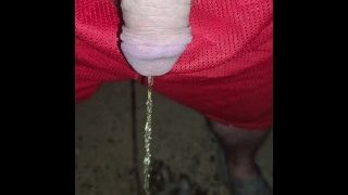 Early Morning Pee Outside