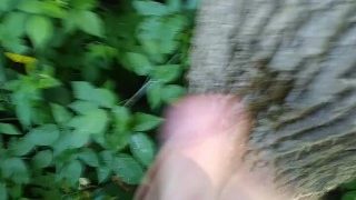 Gay Boy Pisses And Jacks Off On A Tree