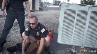 Guy Bear Men Gay Porn And Negro Boys Apprehended Breaking And