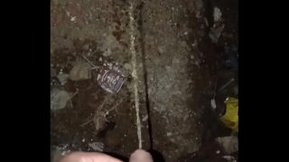 Guy Pissing