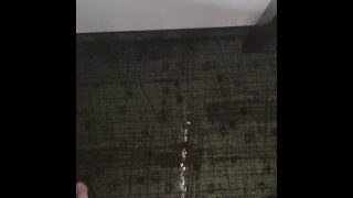 Hotel Piss On Wall 1