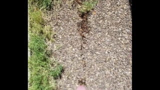 Huge Piss