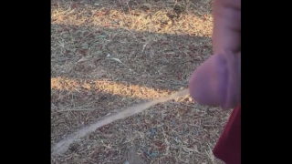 Kaso221 – Outside Piss