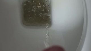 Male Pee Desperation