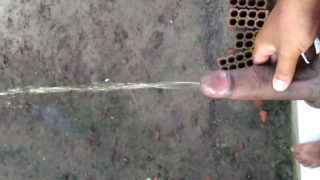 Meu Pau Mijando.