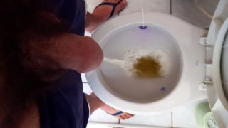 Mijao De Hoje Quer???