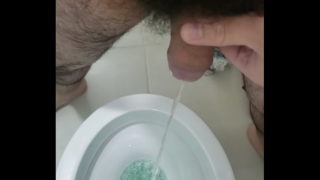 Mijao Do Peludinho