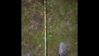 Morning Piss