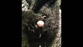 Murrsuiter Full Of Piss Releave Himself On Your Face !