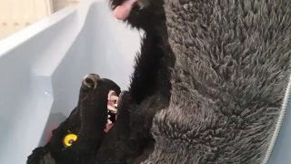 Murrsuiter Pisses On Himself And Inside His Maw For A Good Drink Then Cum Inside
