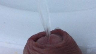 My Dick Pissing – Close Up View