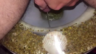 My Pissing Home Video Ii