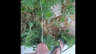 Norwegian Daddy Dick Taking A Piss Outside With Sandals On Half Naked
