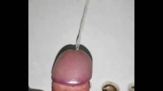 Orinando Rico