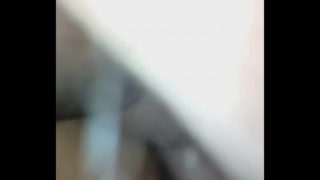 Oso Activo Coge A Oso Pasivo