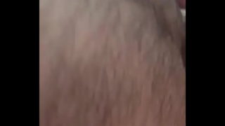Oso Tula Chica Me Preña
