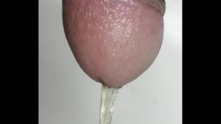 Otra Meada De Mi Pene