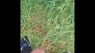 Outdoor Pee