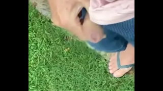 Outdoor Piss