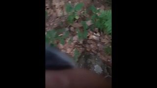 Outdoor Public Piss, Almost Got Catch