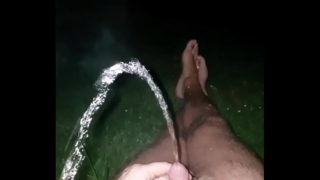 Park Piss Public