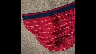 Pee On My Red Briefs And The Carpet