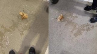 Peeing All Over Parking Lot Staircase Teaser