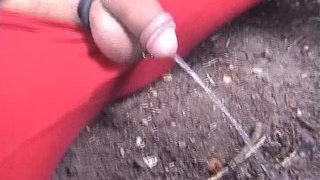 Peeing Compilation