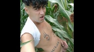 Peeing In Corn Field