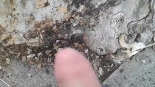 Peeing In Public 11