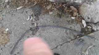 Peeing In Public 2