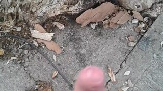 Peeing In Public 7
