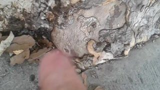 Peeing In Public 9