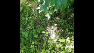 Peeing In Public On Tree
