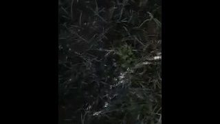 Peeing In The Nature
