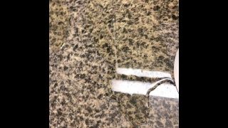 Peeing On Hotel Counter Sink
