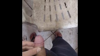 Pig Farting And Pissing