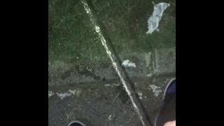 Piss At The Park