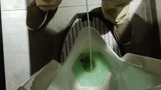 Piss At Work 5